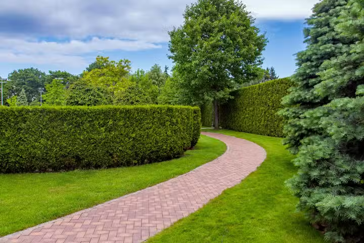 Landscape Design 101: Mastering the Art of Garden Fusion