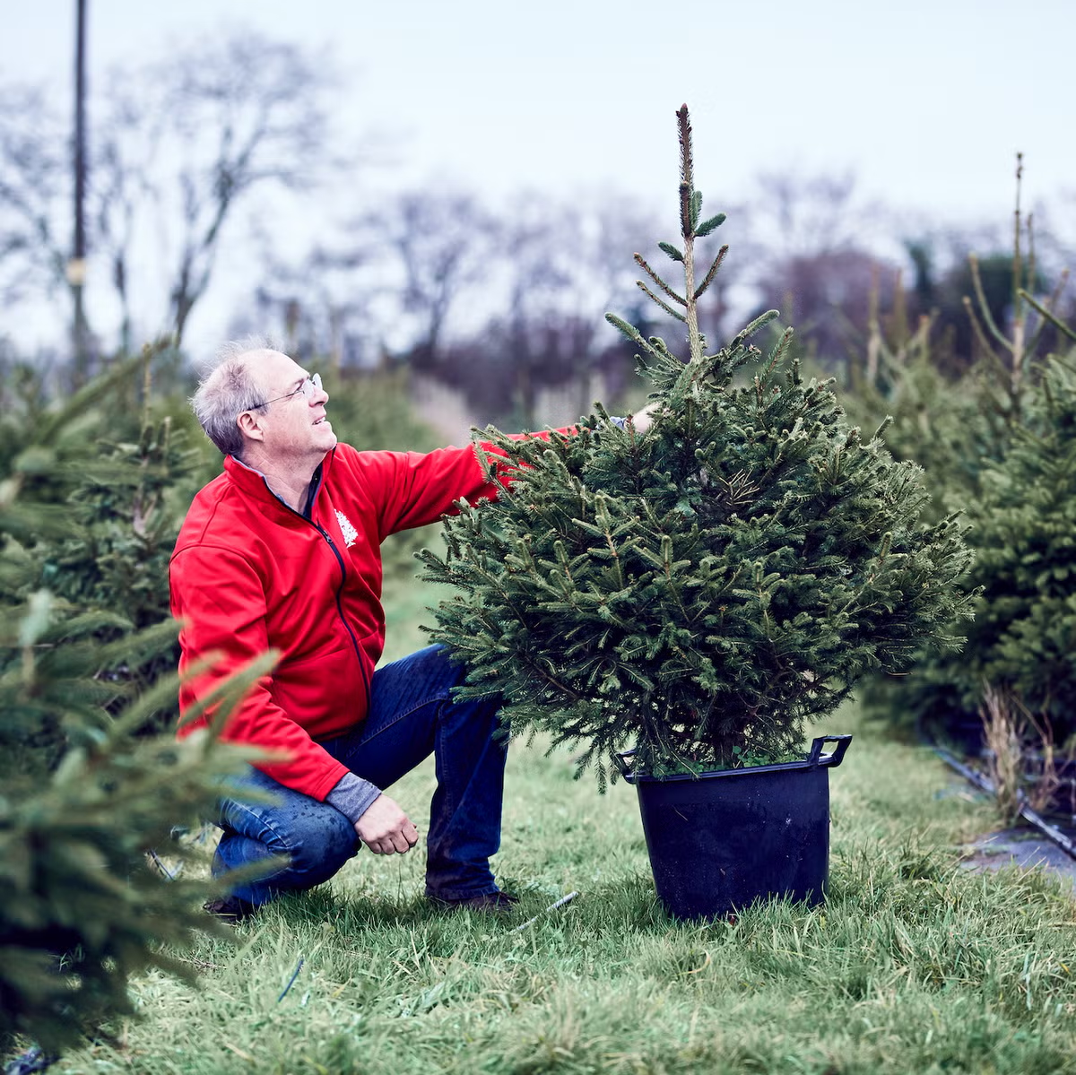 How to Create a Protected Garden Space Using Landscaping Plants