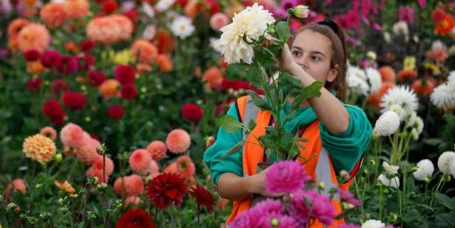 The Best Winter Flowers to Brighten Your Days with Colour, Scent, and Wow Factor